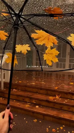 autumn story