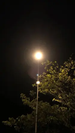 masihol au inang