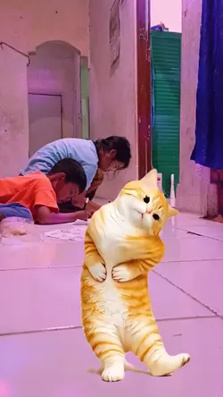 versi Kucing Joget