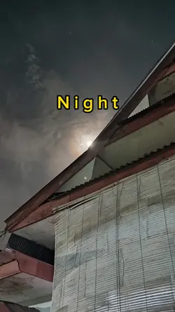 Night