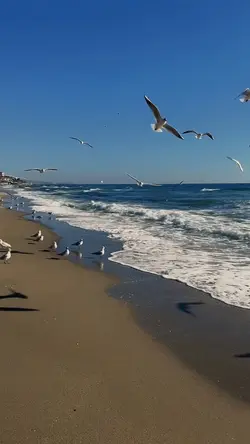 Slowmo aesthetic