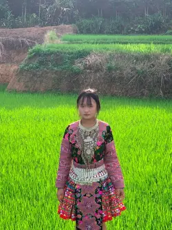 mẫu 14 ảnh