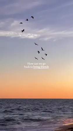 back to friends