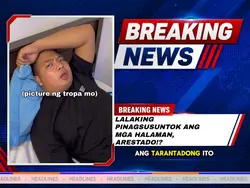 Sinuntok ang halaman