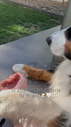 Te Extrañaré 🐶🤍