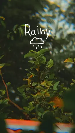 Rainy day