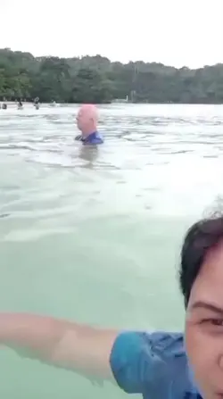 Dee
