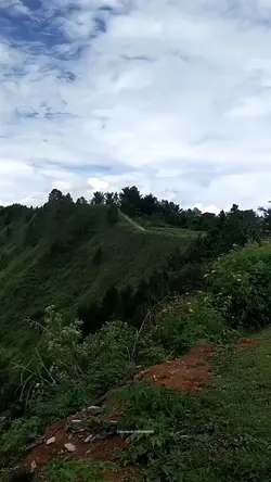 Alam