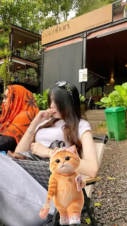kucing joget