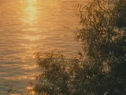 calm