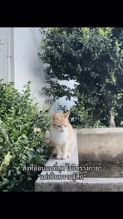 สิ่งที่อ่อนแอที่สุด