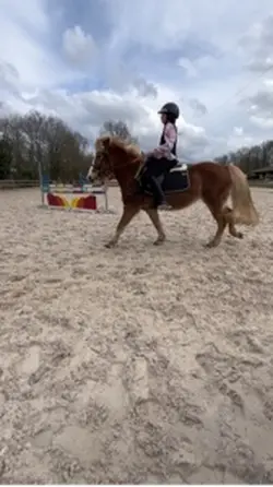 MA VOIX MON SON MON 