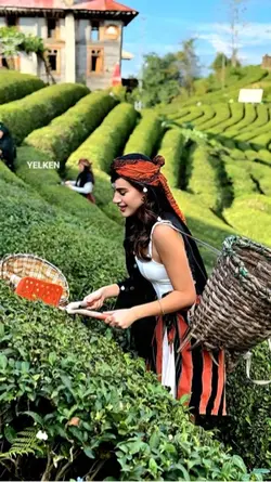 Karadeniz 