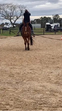 handstandd