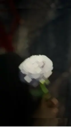 caption up tiktok