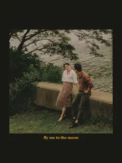fly me to the moon