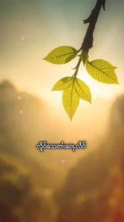 သႂ်ႇၶႅပ်းႁၢင်ႈသူ 1