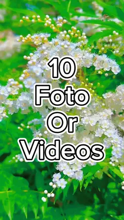 10 video slide