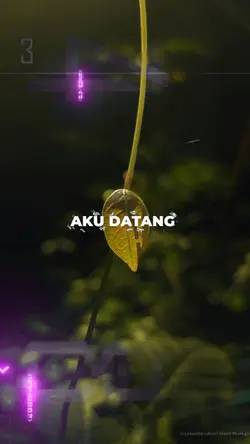 AKU DATANG MELAMARMU