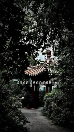 Gió lớn đang thổi