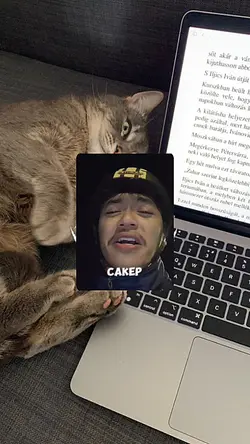 pacar dia lebih kaya