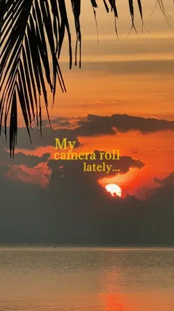 camera roll lately 