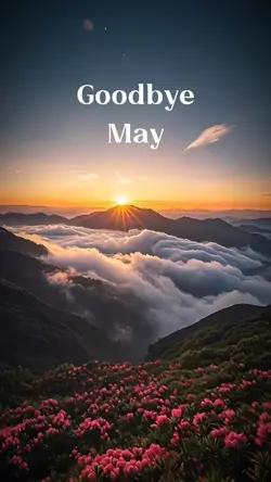 goodbye May