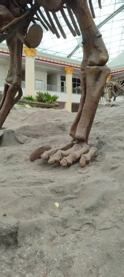 Real Dinosaur 