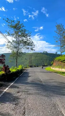 Road trip