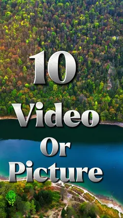 10 video or picture 