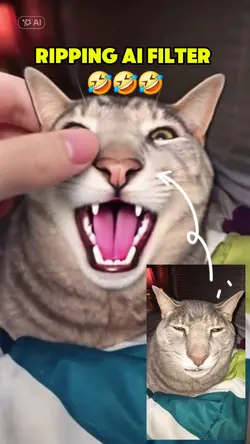 ripping ai filter 