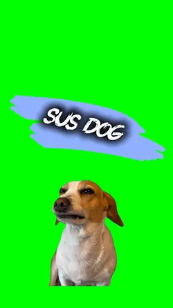 Sus Dog
