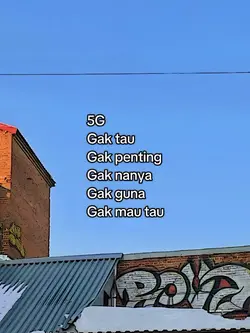 5G