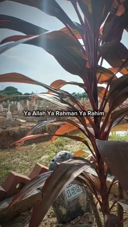 Doa untuk ayah