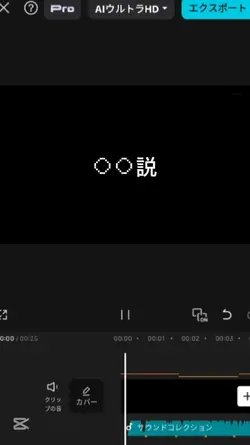 𓏸𓏸説