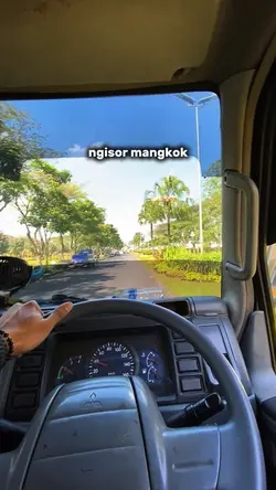 Opo ae tak sopir