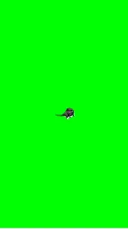 Dino ngga dance