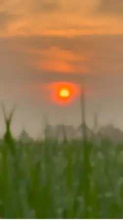 ☀️Chào ngày mới☀️