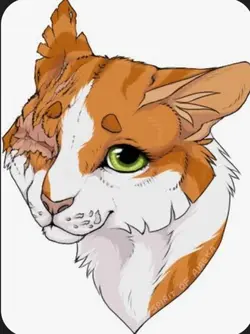 warrior cats edit