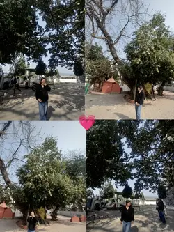 Raat ko jun herdai s