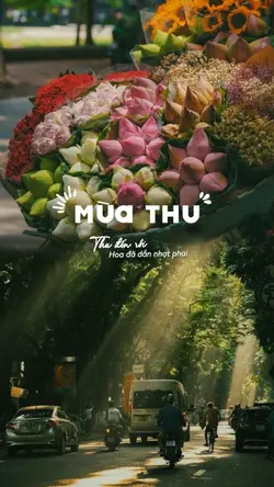 Mùa thu 🍂 