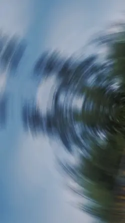 IMO TEMPLATE 