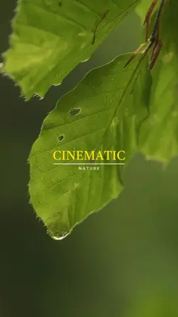 Cinematic Nature