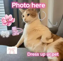 Dress ur pet