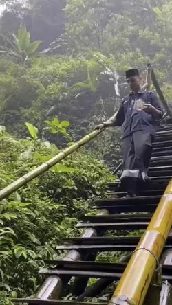Jatuh transisi
