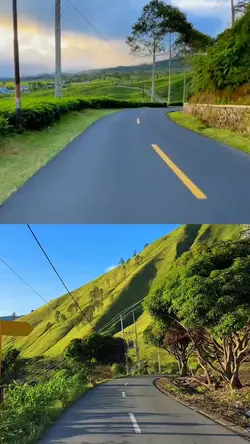 2 video 1 layout