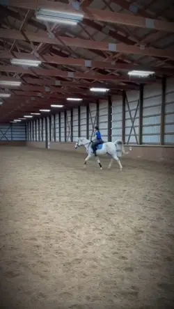 Rode ice tdy