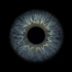 MEIN AUGE!