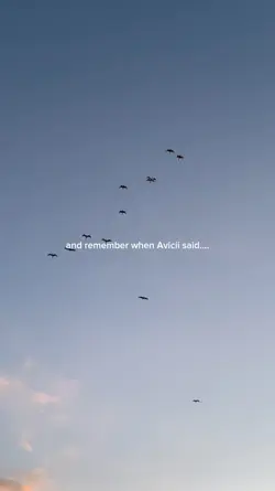 Avicii said... 
