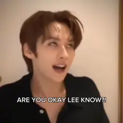 Lee know meme 